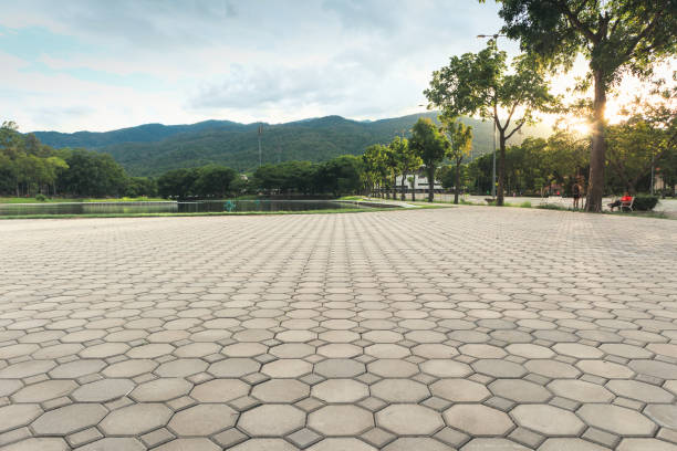 Best Driveway Paving Contractor  in Dundee, FL